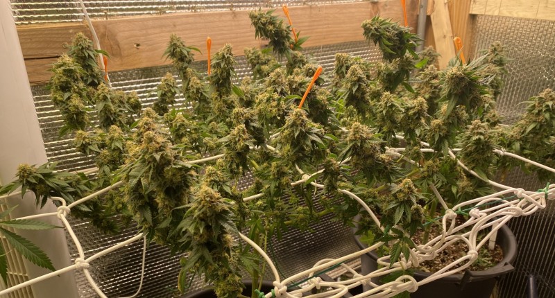 6D45856E-9C6A-451B-BE24-3E60A03E8288