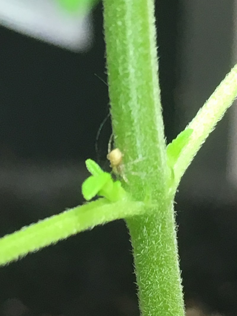 2C060E7A-169E-44A5-9A20-B2388454AF0A