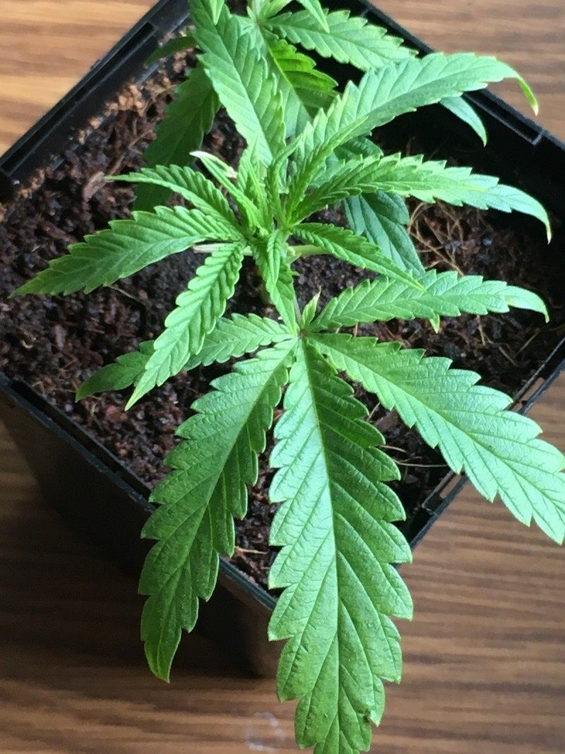 1442BF22-84B7-4E1B-B54F-22B742ECA203