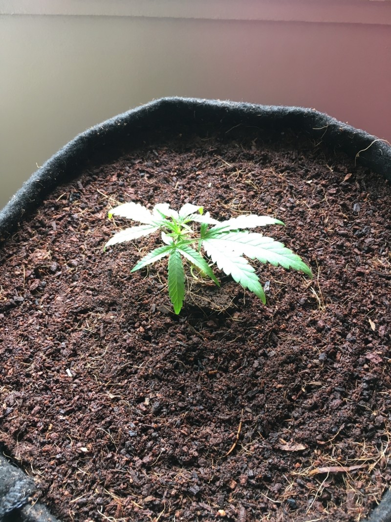 236A7087-C9EB-4D7D-B591-72A54C41D0C2