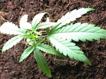 12F22A0E-8328-49BD-92DB-C2659D54400A