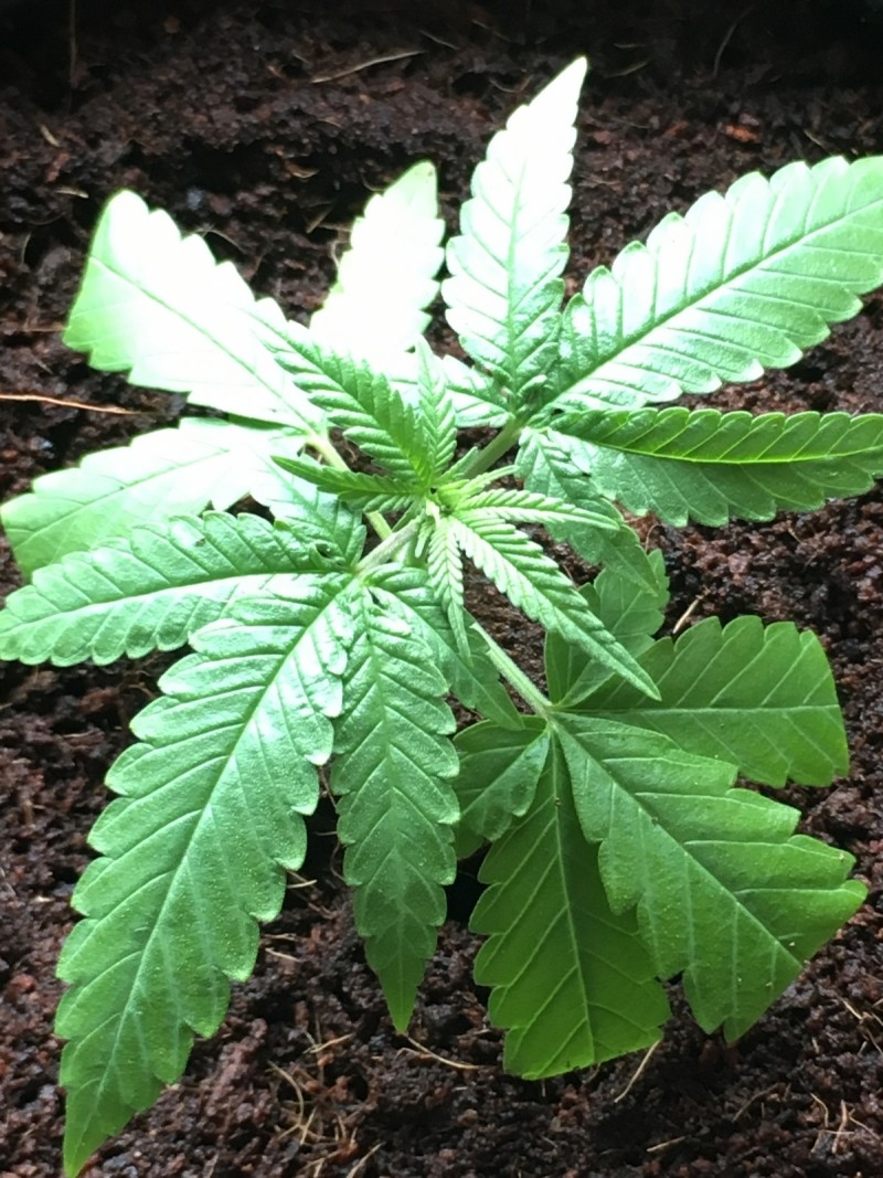 C429B0E3-47FB-4283-918C-63BDD80951DB