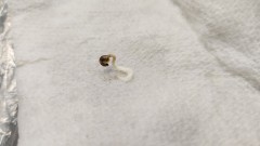 16833454711734832007074963118477