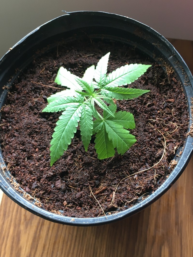 A48D8C81-517D-4489-8031-1905AB8952FA