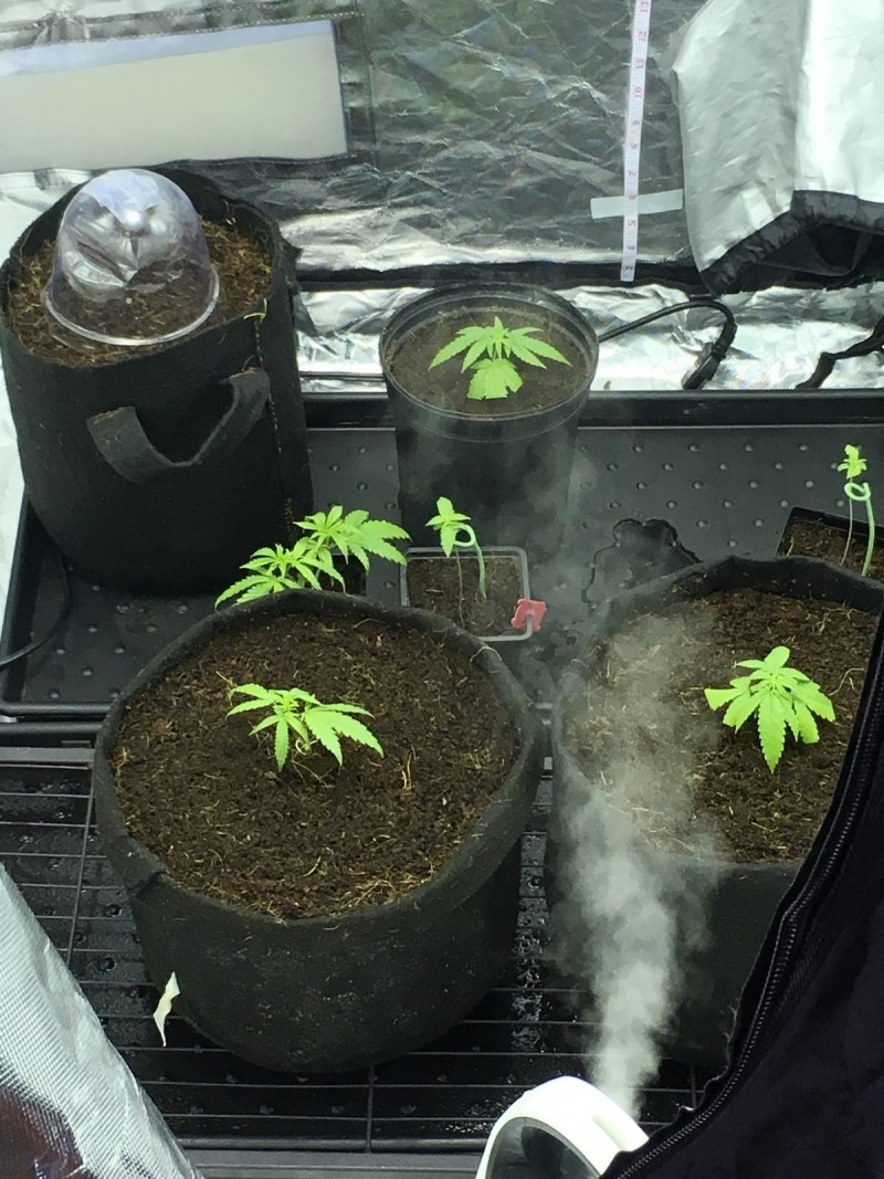 25ECE665-69C1-4AA1-90C3-EF5AD702FAC3