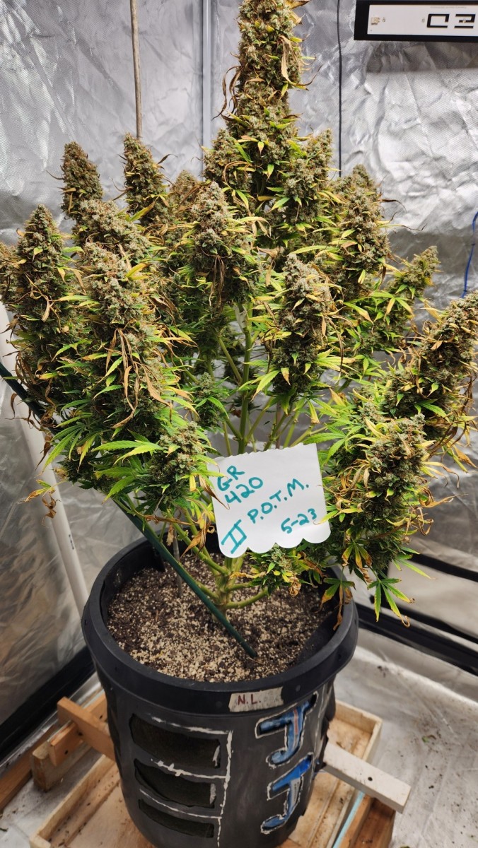 16834874331118733498748998196485