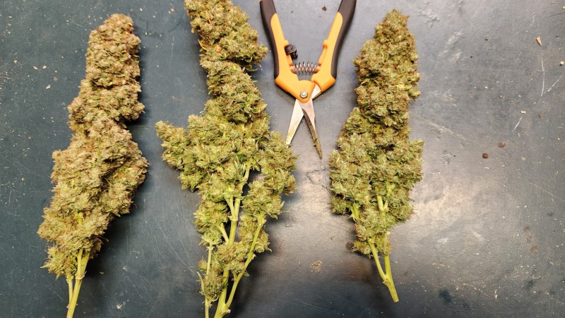 16835110971338601477317609215232