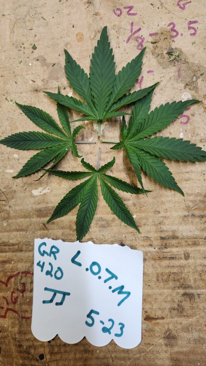 1683515289858575017118108854045