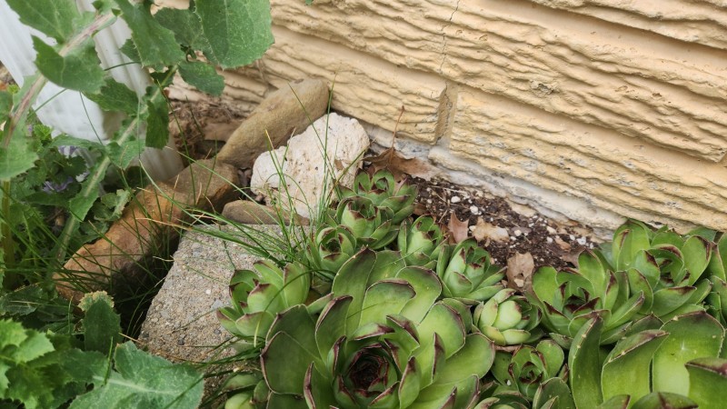 16835821747226072551907316251276