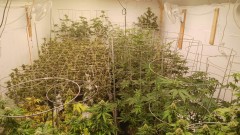 signal-2023-05-08-20-33-34-429