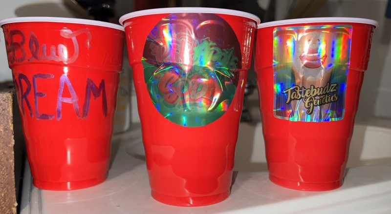 915633A5-4F97-4CE4-A466-EEF6FD8228EF