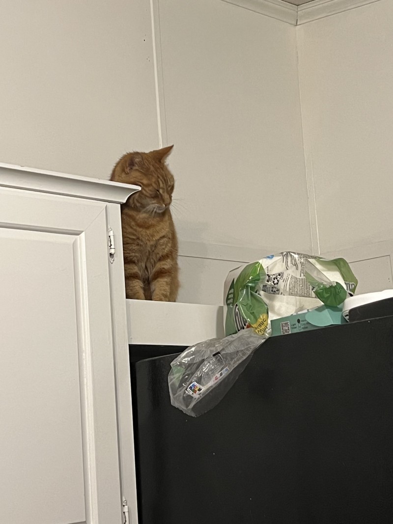 71DA0461-356E-467E-83B3-A42CE9172FCF