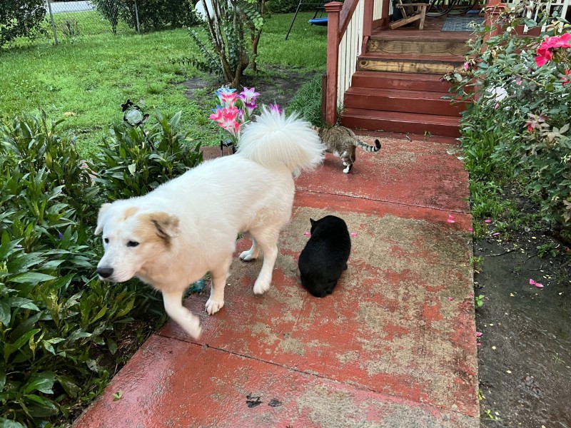 6187DEC9-5357-4418-93EB-595CBE09ED28