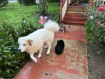 6187DEC9-5357-4418-93EB-595CBE09ED28