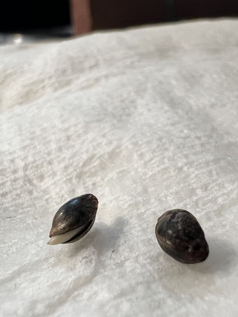 67F93FC5-DEF3-43FA-A836-2D99C32417CB