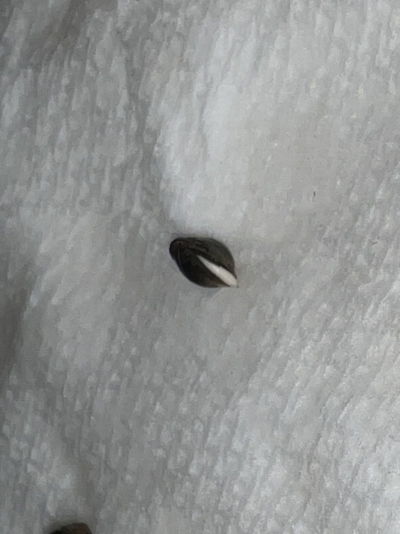 62A8D3DE-6BF2-45B2-A557-AC1F9F5B75E1