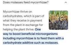 signal-2023-05-09-23-45-59-688