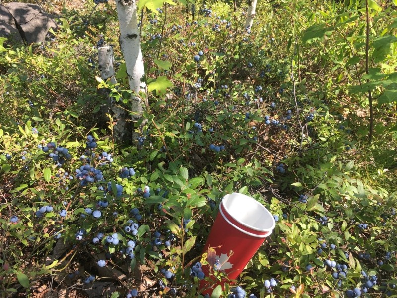 8074E1F2-27D5-482B-B752-C7582A896643