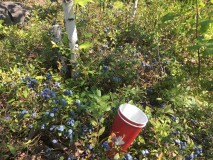 8074E1F2-27D5-482B-B752-C7582A896643