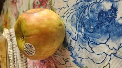 16837469066623009536791262552033