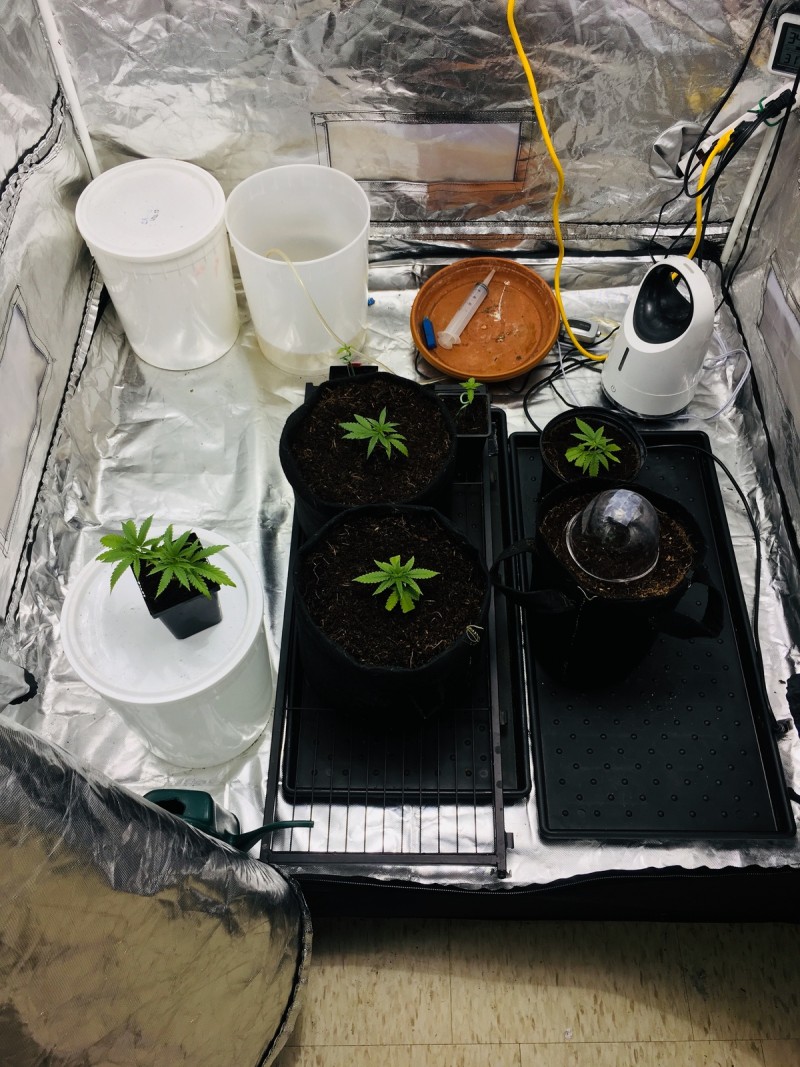 024D34AA-26CC-4673-85EE-40342327EDCC