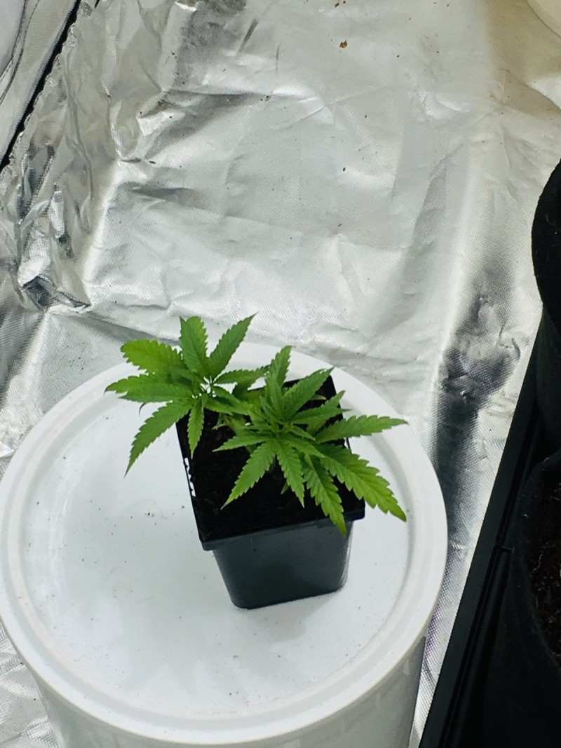 5F4C44D7-2CFD-4F5A-8C11-E3D330A2832D