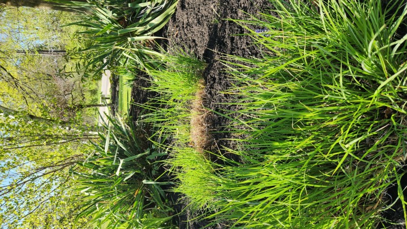 1683752930368975880371616079125