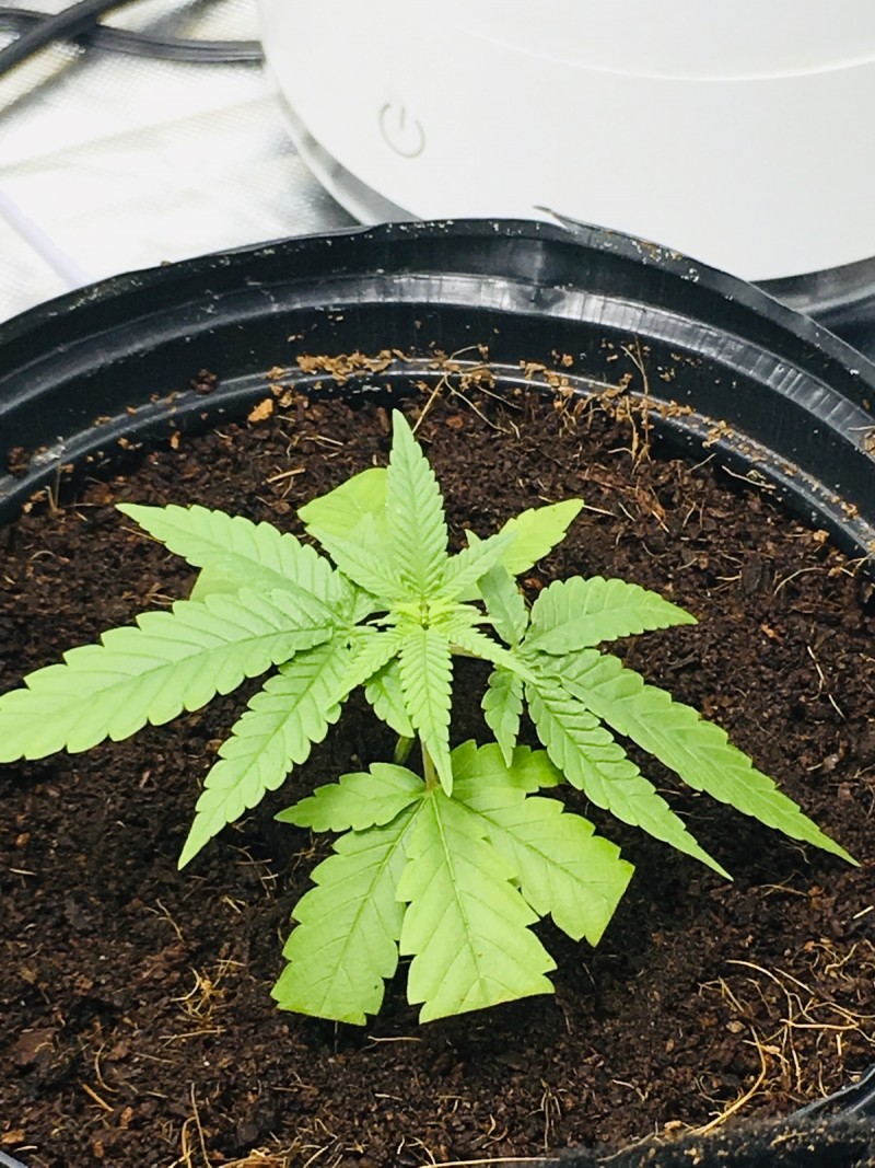 1EB414C9-3A2D-4AC6-8DA8-48AC2D387CAA