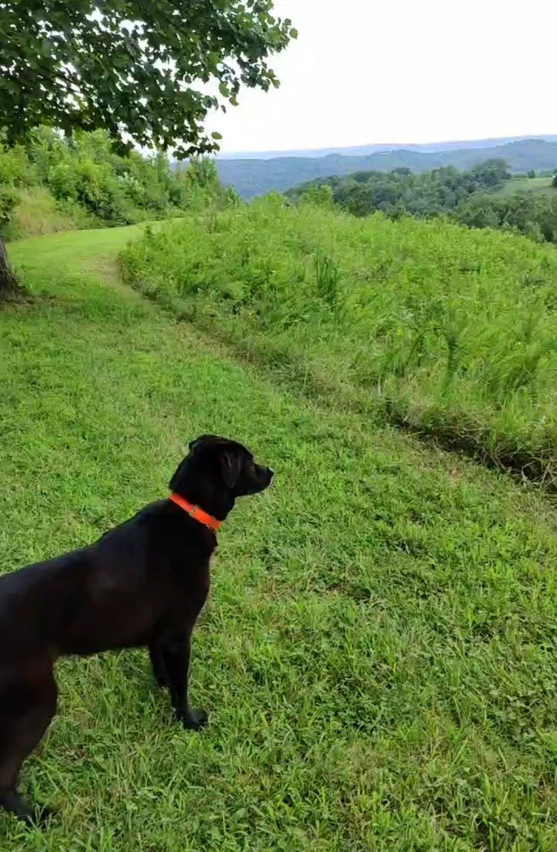 Screenshot_2023-05-10-23-39-28-73_4b14b257287ac0a6d1fd5fbb2487716f