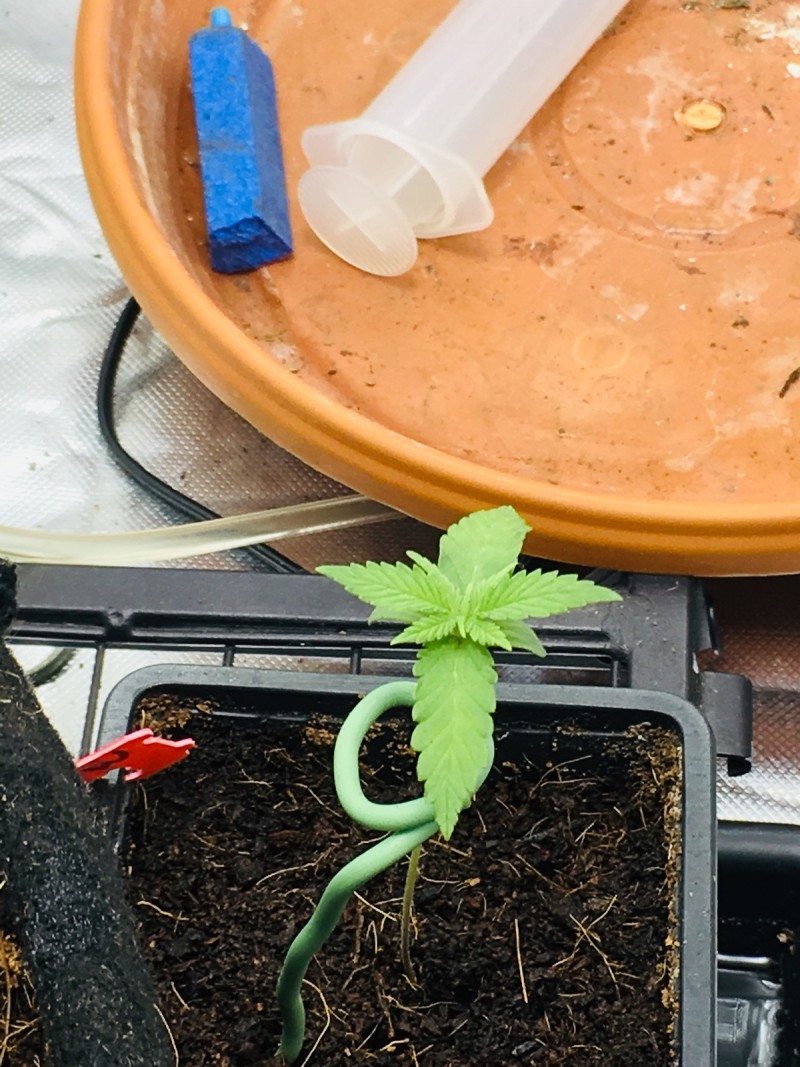 4EEBBEBF-43A1-413D-AE48-CA49E6B7DDC0