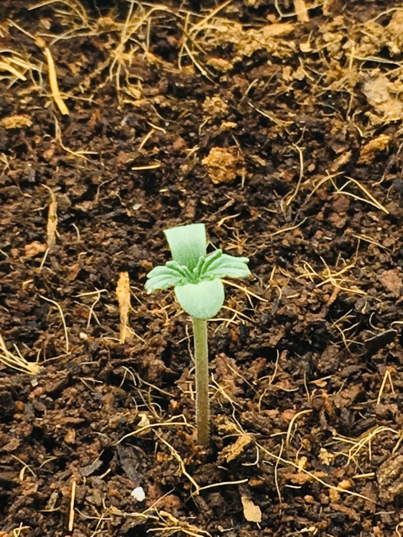 5B5A0293-CD74-4BC8-8F6F-69918631E271