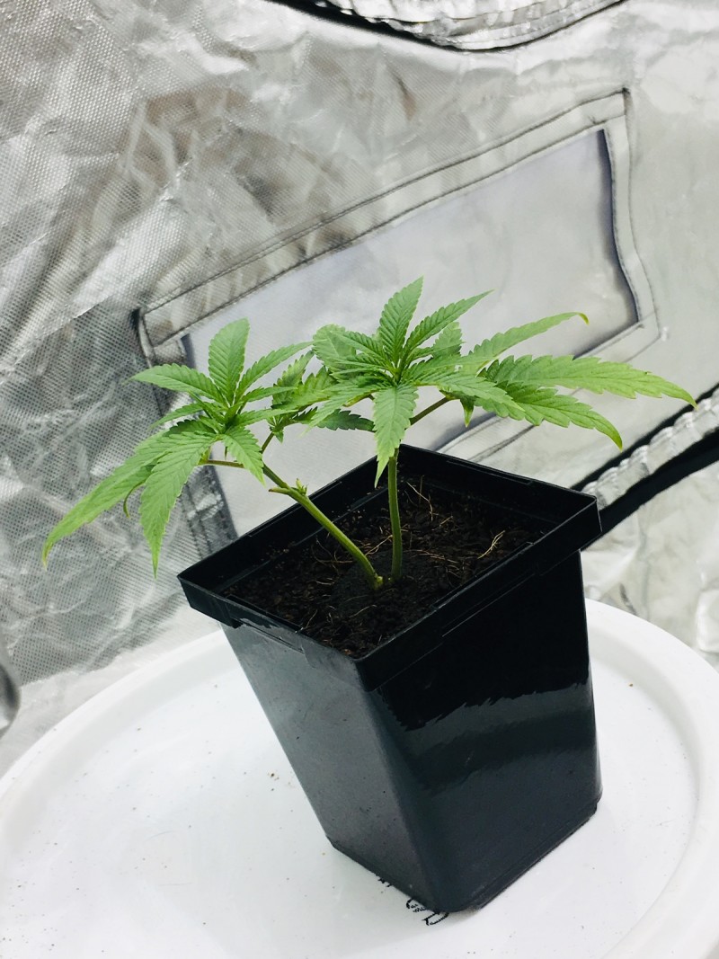 152B2D60-192C-497E-814C-A8B1978974DE