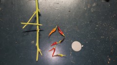 16838467173896488321945739686107