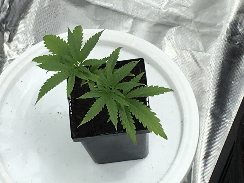 8EA2B6F2-DD70-4F49-BE96-95C9BBCDD409