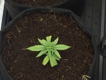 E4AB0179-6F55-4462-B567-6822EEAFFEEE