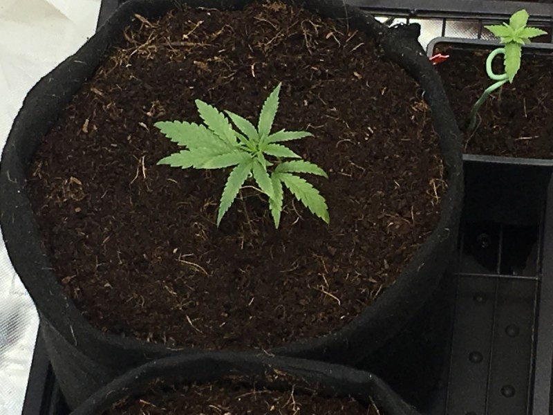 031E394F-293A-467B-BF4C-3D7F9B93BE30