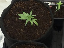 031E394F-293A-467B-BF4C-3D7F9B93BE30