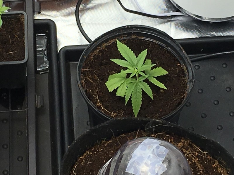 C41C7641-88D8-4C89-854D-D5017319419C