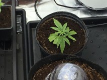 C41C7641-88D8-4C89-854D-D5017319419C