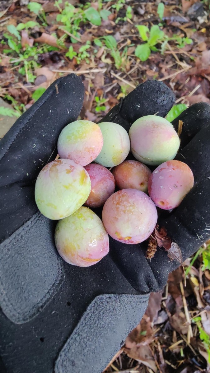 signal-2023-05-11-18-27-28-689