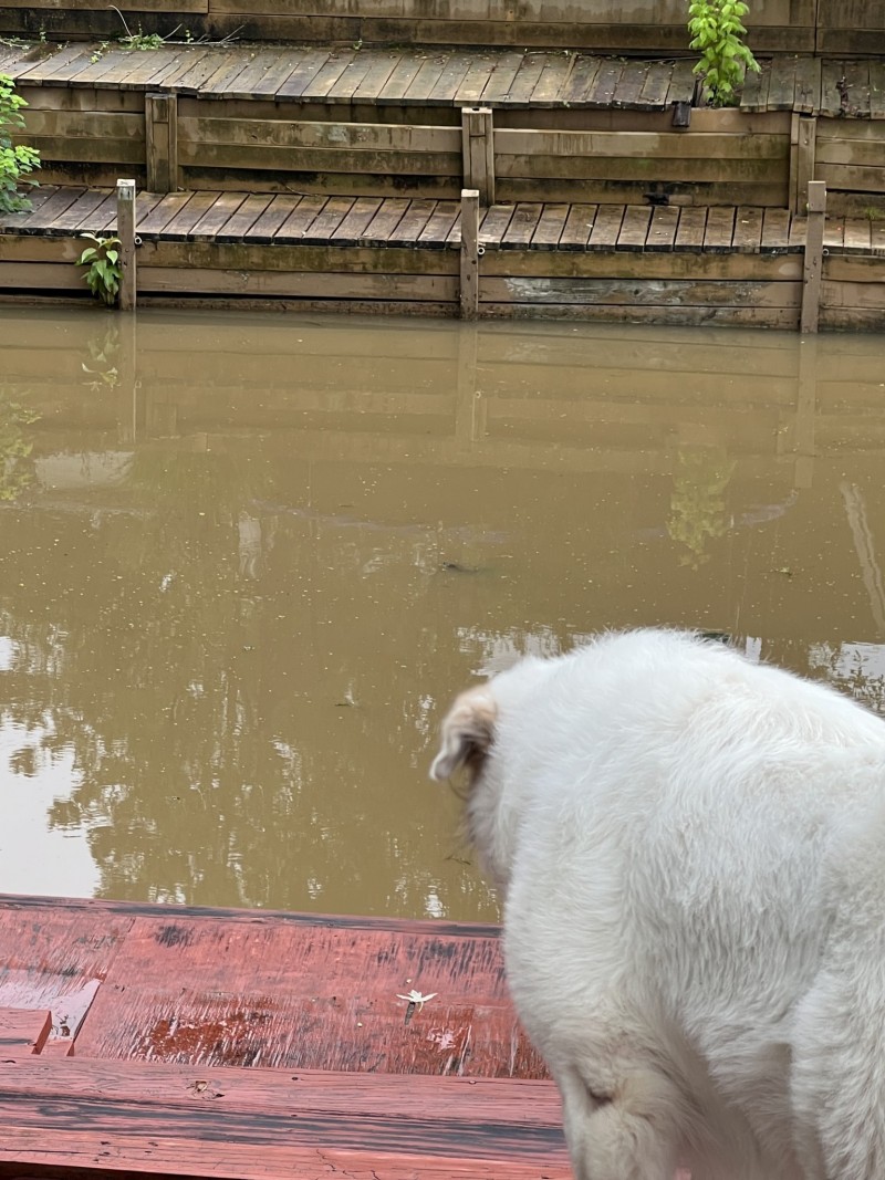 AA51A38F-2E4C-4D96-8004-A5145E8AF7FE