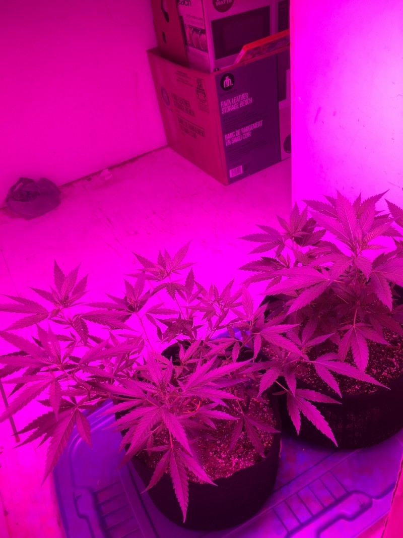 084EFA26-B4F6-4534-A47B-8534C56F5E10