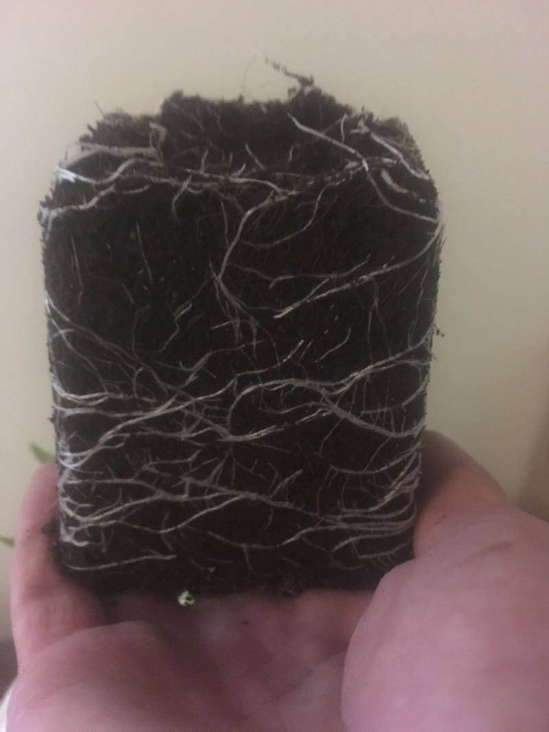 8BDA8CD3-6977-458B-A00B-8B3AB22F69CE