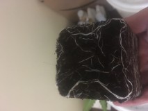 73B5D7A0-30BD-4C13-86E3-3B739396B7C8