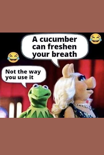 207342446235b1f7c2ce8b61d7d933bc0373b130_2_336x500