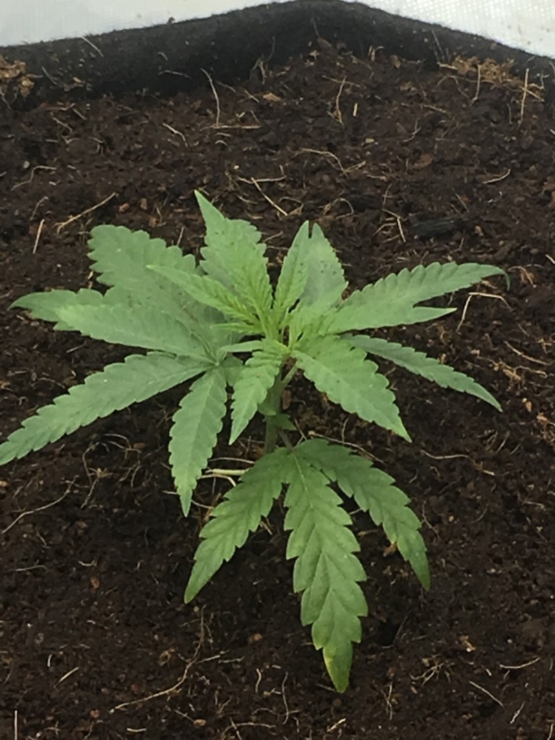 2012D081-3293-40DA-83FE-15117D03B10B