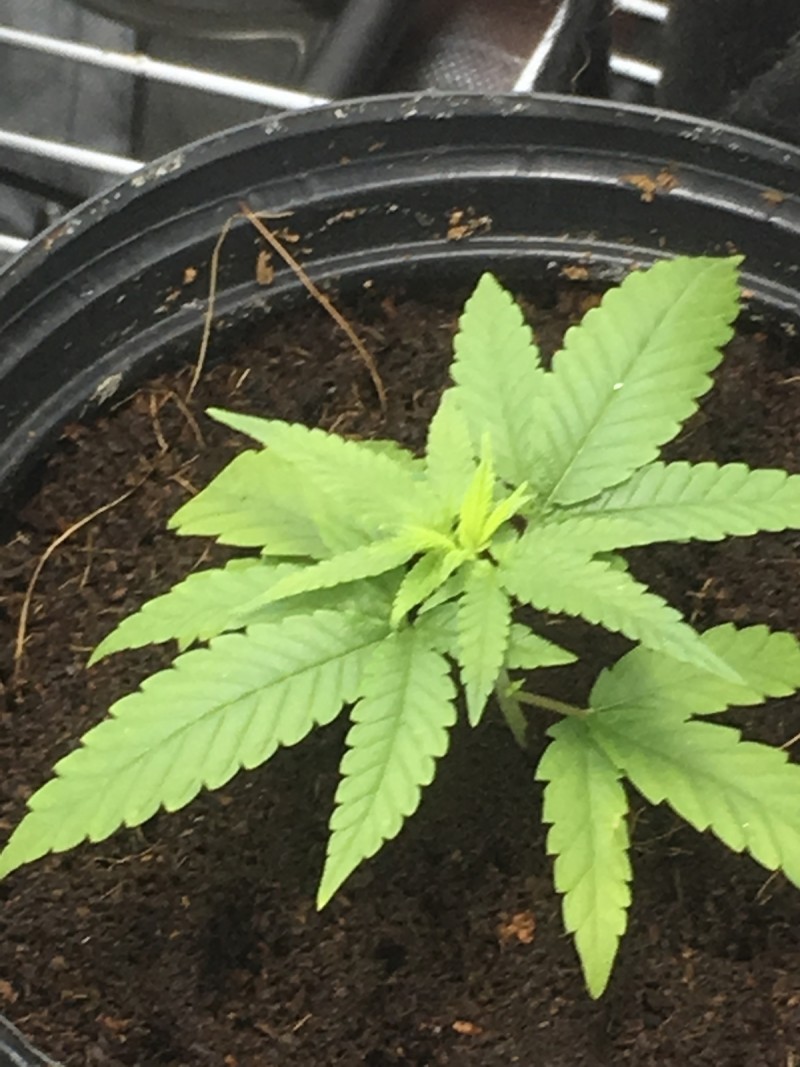 04B760E5-2323-4ABB-9E36-F8DFB845050C