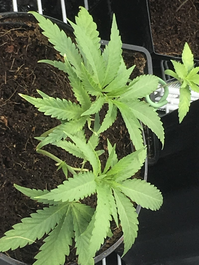 D5CFE45C-8235-414C-95BB-BD21313218AD