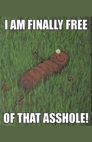 4a66cd98caeeb9944215bbec7122b15bd8383511_2_324x499