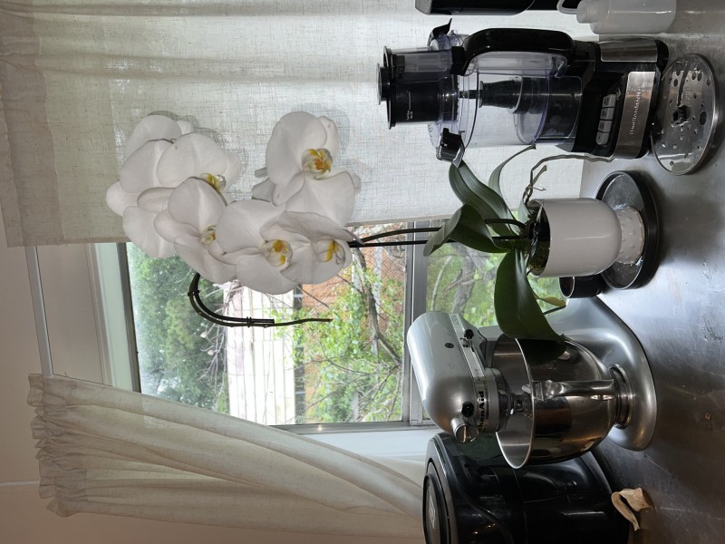 07AE7239-A15A-4AE2-8656-11DB78A5305F